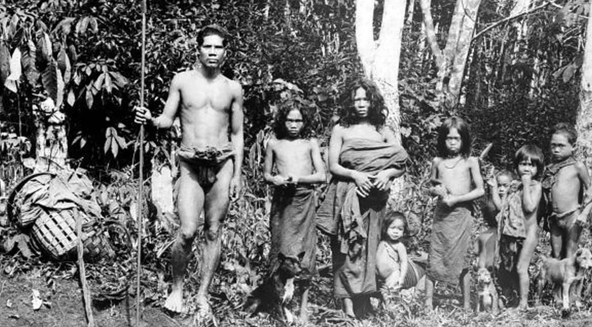 Miris! Suku Anak Dalam ‘Kubu’ Digerus Zaman, dari Hutan Terlunta-Lunta di Kebun Sawit (bagian ketiga) anak dalam