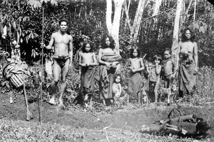 Suku-Anak-Dalam-wikipedia