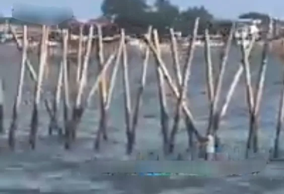 Pagar Laut Sepanjang 30 Km di Dekat PIK 2, Rocky Gerung Singgung Pemerintah