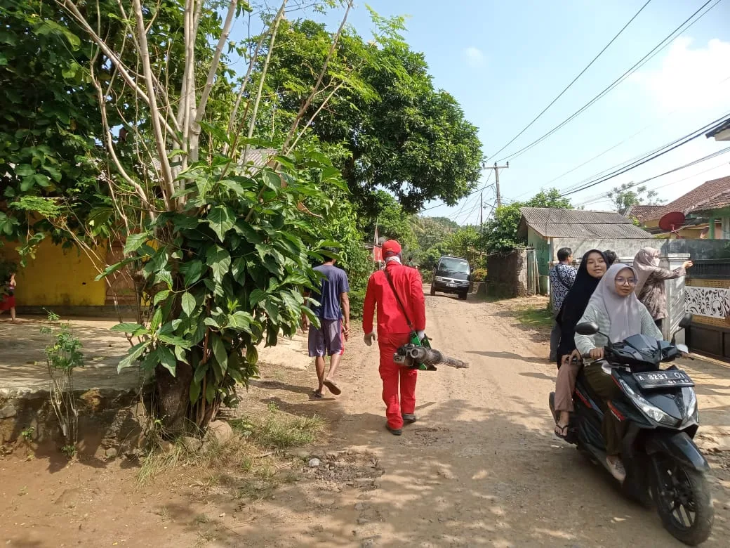 Kasus DBD di Sukaraja, Malingping: Tiga Warga Dirawat, Tim Fogging Diterjunkan