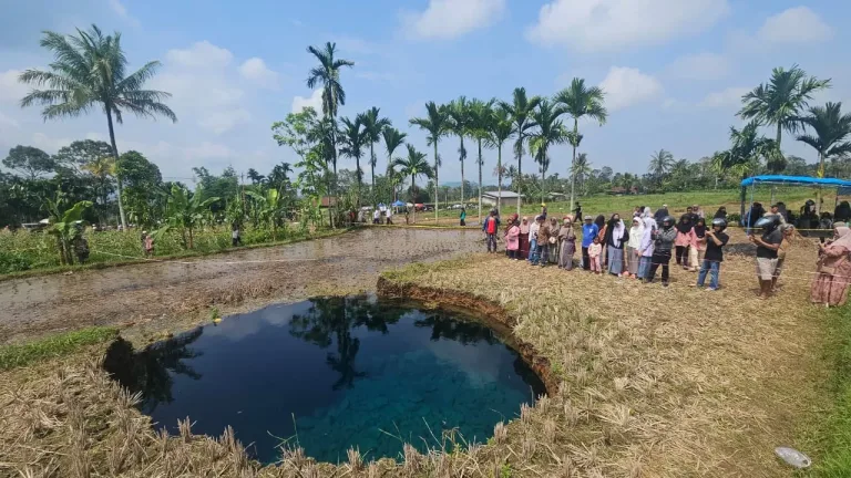 Sinkhole Situjuah: Peringatan dari Tanah yang Terus Bergerak