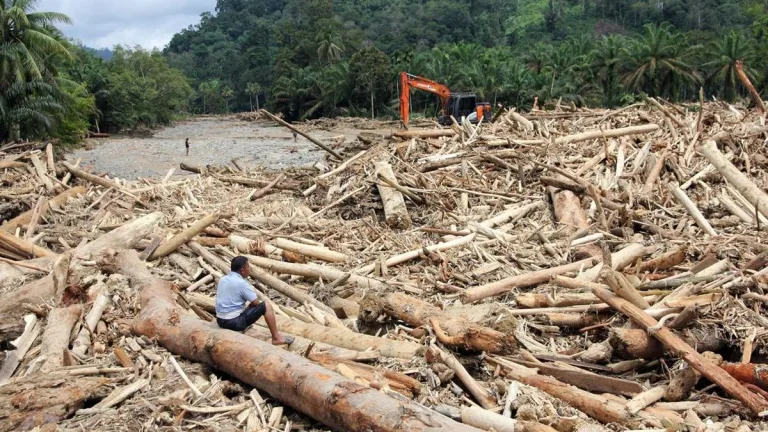 Jejak Sungai Pawan Terputus, Ribuan Batang Kayu Ilegal Disita di Ketapang