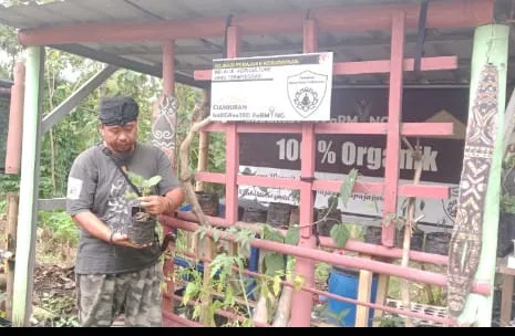 CIF di Pesona Cianjur: Kolaborasi ‘Seni Tradisi’ dan Pertanian untuk Ketahanan Pangan