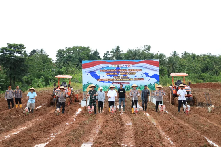 Polda Banten Tanam Raya Jagung Serentak Kuartal I 2026 Dukung Swasembada Pangan Nasional