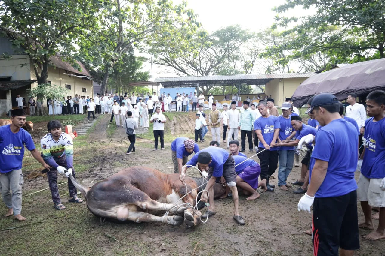 Momentum Idul Adha 1447 H. 144 Hewan Kurban Polda Banten Disalurkan untuk Masyarakat