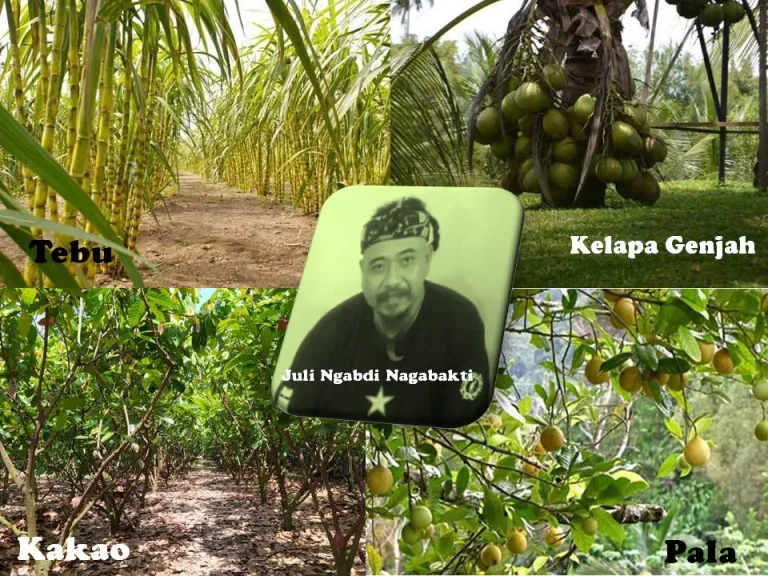 Melirik Dukungan Pusat untuk Perkebunan Jawa Barat