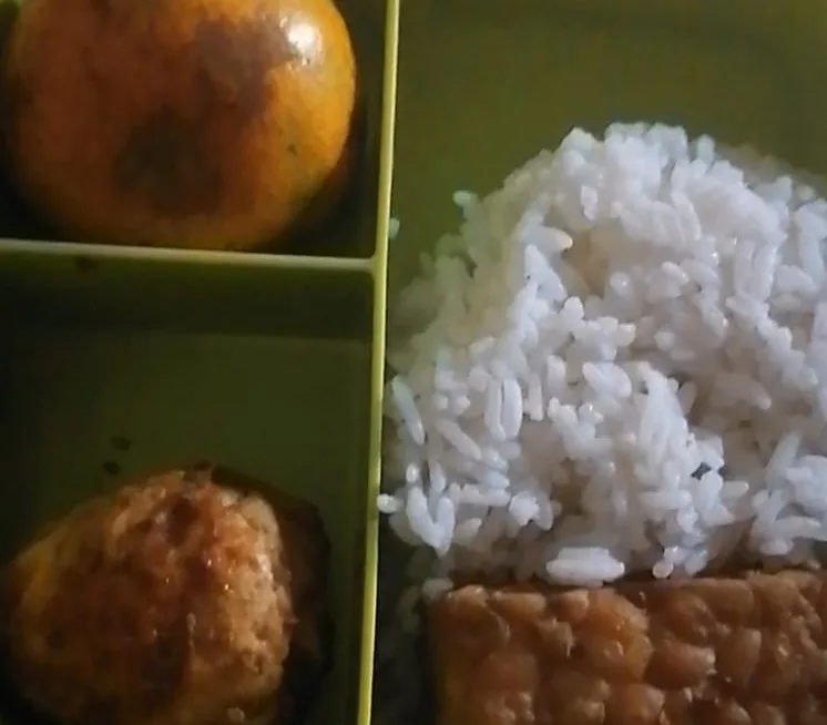 Menu MBG di SDN 1 Malingping Disorot Orang Tua Murid