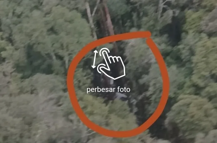 Pesawat Pilatus Smart Air yang Jatuh Ditemukan di Hutan, Pilot Selamat