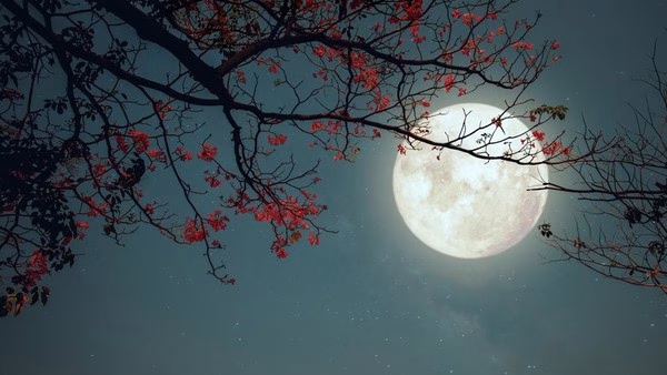 Kondisi di Bulan: Tantangan dan Potensi Eksplorasi